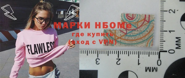гашик Алексин