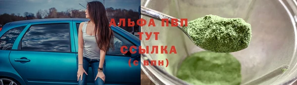 гашик Алексин