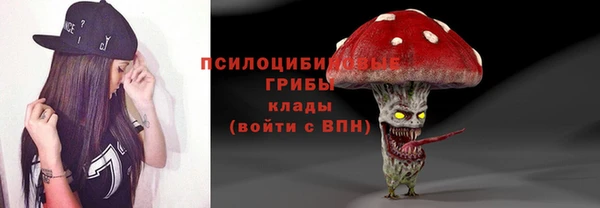 гашик Алексин