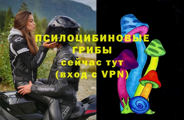гашик Алексин