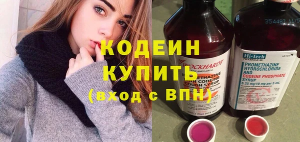 гашик Алексин