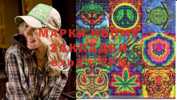 хмурый Алзамай